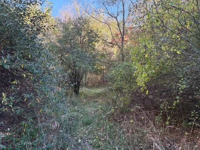 $195,000 | 29 Clinton Way, Jackson, MI 49201