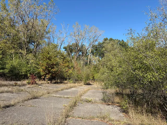 $195,000 | 29 Clinton Way, Jackson, MI 49201