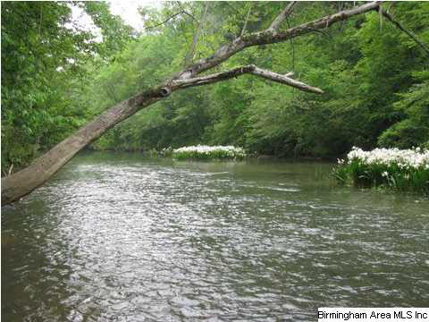6925 Grey Hill Road West Blocton, AL 35184 - Photo 30 of 32