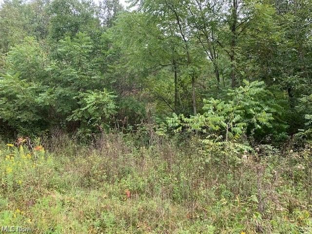 59149 Trail Run Road Byesville, OH 43723 - Photo 3 of 5