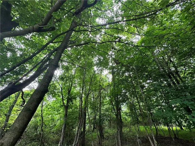 a view of a grassy field with trees in the background