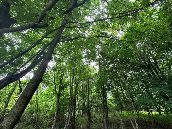a view of a grassy field with trees in the background