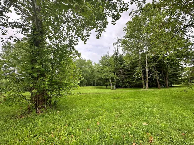 a view of green field with trees in the background