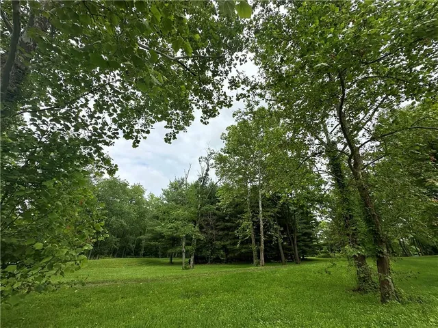 a view of street with green space