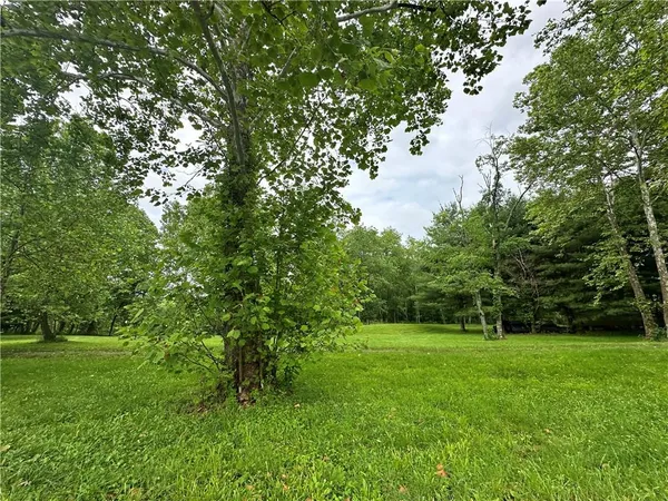 a view of a field with a tree in the background