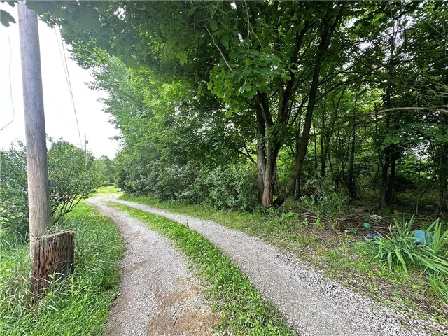 a view of river and trees in the background