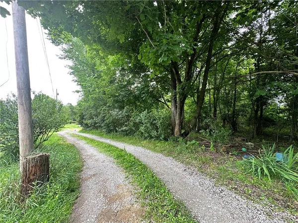 a view of river and trees in the background