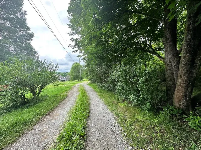 a view of a pathway both side of yard
