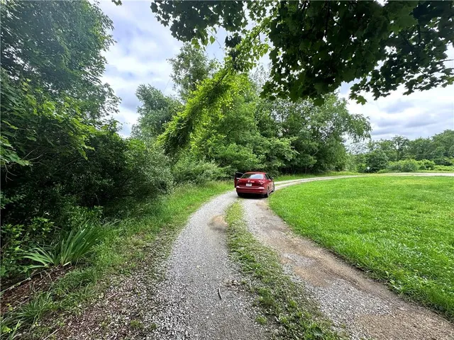 a view of a backyard with potted plants and large trees