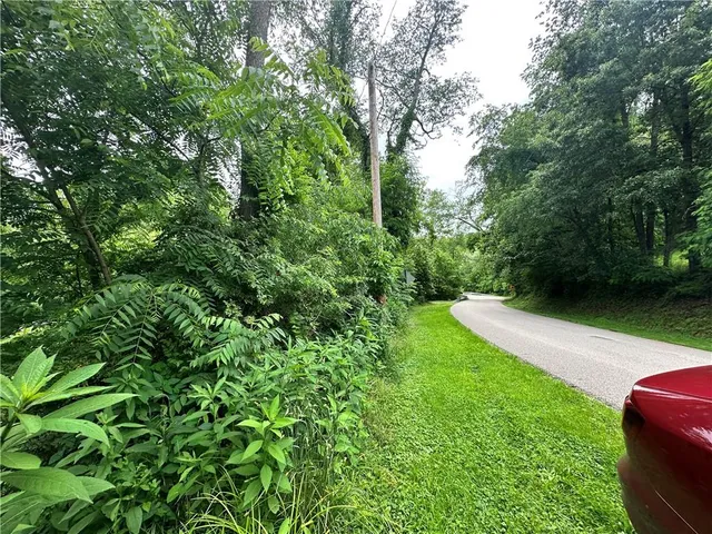 a view of a yard with a tree