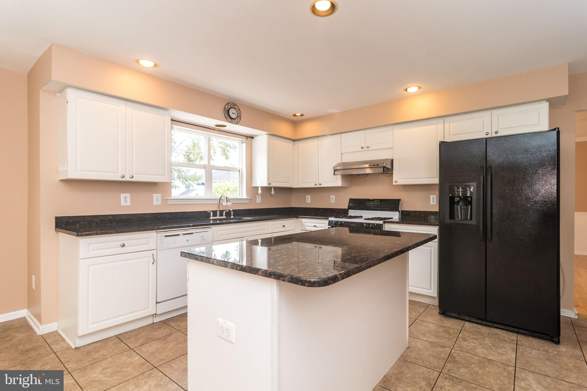 253 Rock Run Road Yardley, PA 19067 - Photo 16 of 52 Kitchen