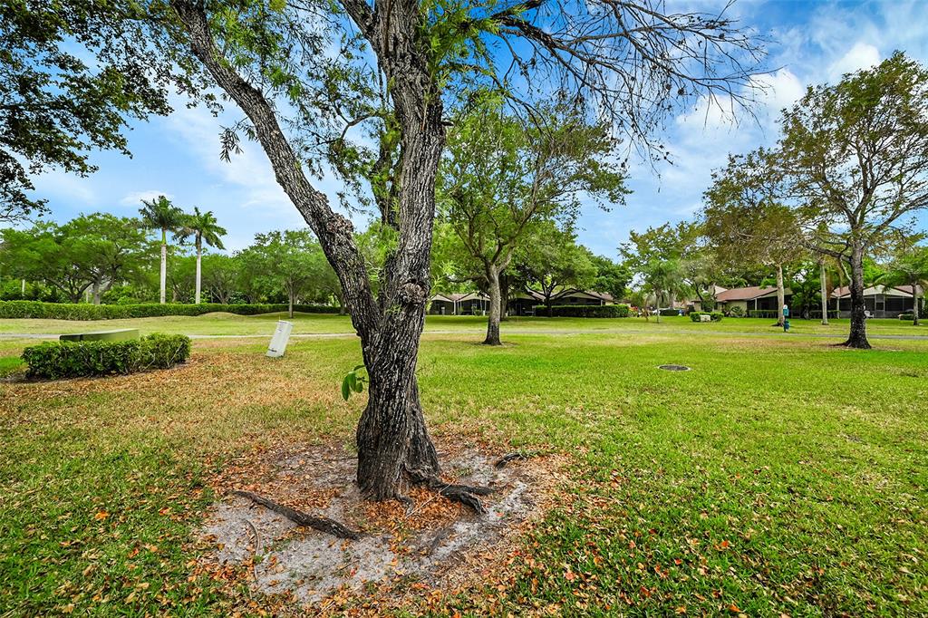 22306 Timberly Drive, Unit 22306 Boca Raton, FL 33428 - Photo 24 of 26 a view of a trees with a yard