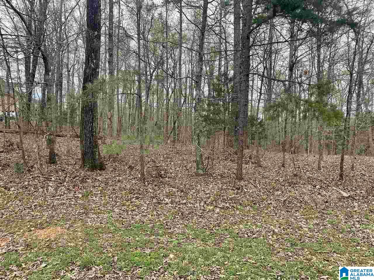0 Hickory Ridge Road, Unit 40 Ragland, AL 35131 - Photo 5 of 7