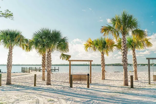 a row of palm trees and a yard with wooden fence