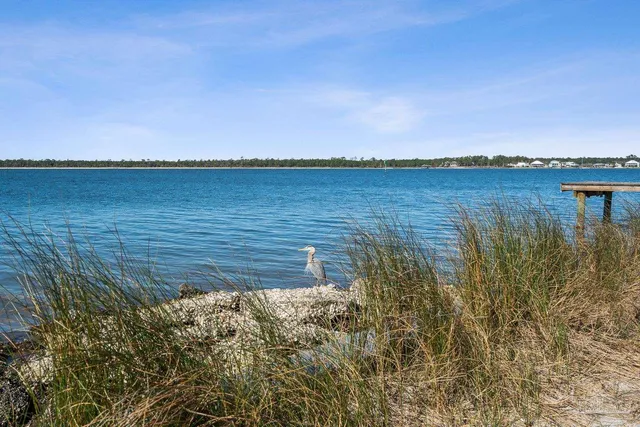 $715,000 | 5492 Wolfhead Avenue, Orange Beach, AL 36561