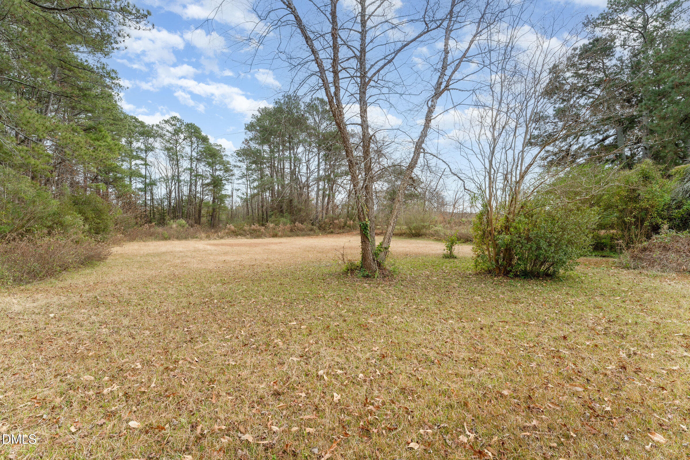 4159 Princeton Kenly Road Kenly, NC 27542 - Photo 36 of 37 023_dsc01761-edit_538
