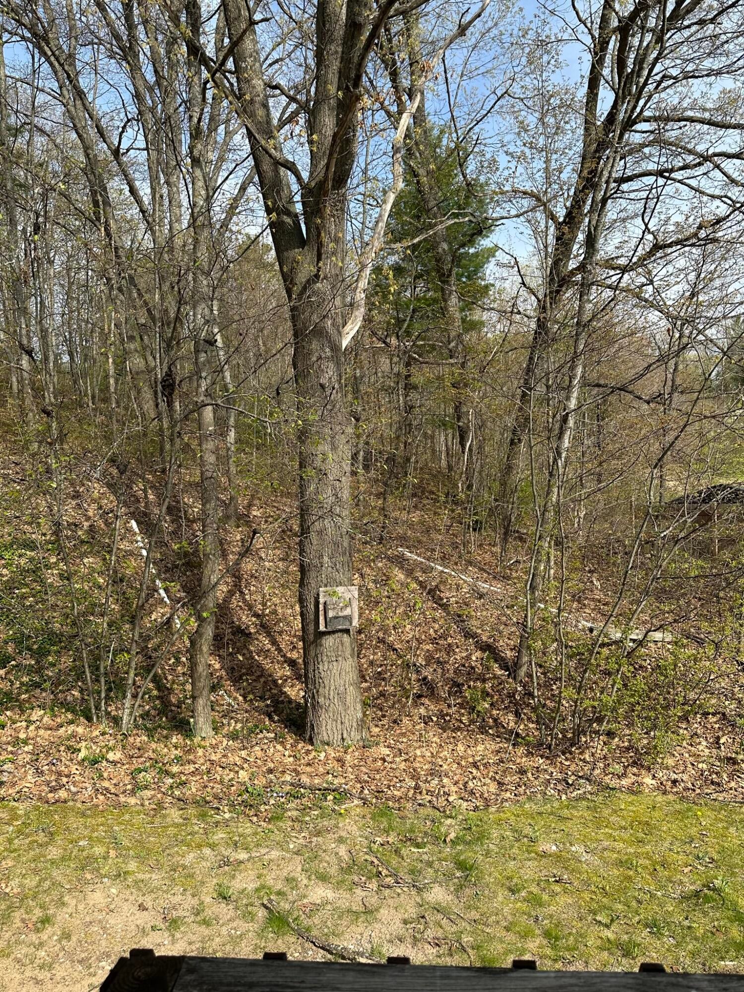 12424 Nickerson Valley Road Atlanta, MI 49709 - Photo 14 of 18 Gallery Image 14