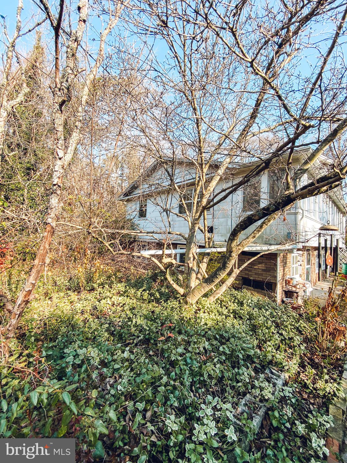 141 Fursin Avenue Buena, NJ 08310 - Photo 2 of 50