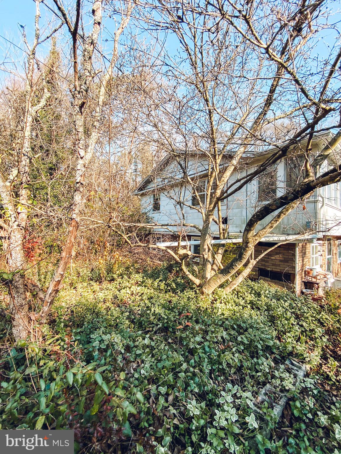 141 Fursin Avenue Buena, NJ 08310 - Photo 3 of 50