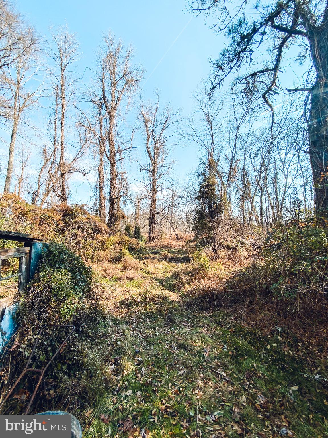 141 Fursin Avenue Buena, NJ 08310 - Photo 50 of 50 Backyard