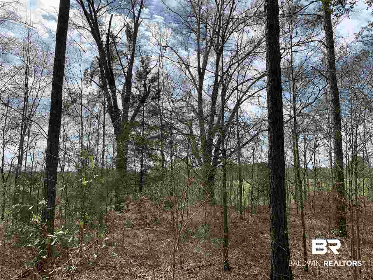0 Sexton Brg Road Luverne, AL 36049 - Photo 23 of 50