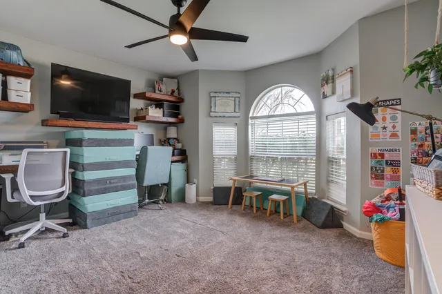 a view of a backyard with a tree