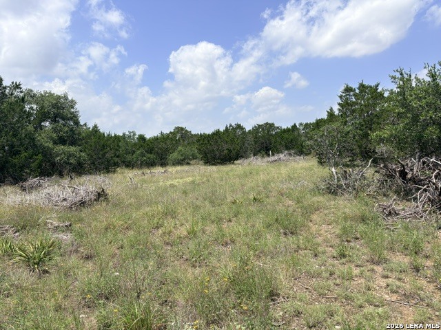 128 Coneflower Drive Spring Branch, TX 78070 - Photo 9 of 27