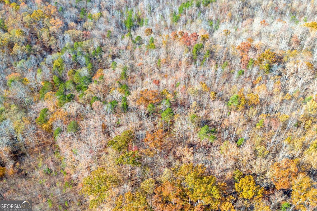 Lot 12 North Hicks Road Toccoa, GA 30577 - Photo 12 of 25