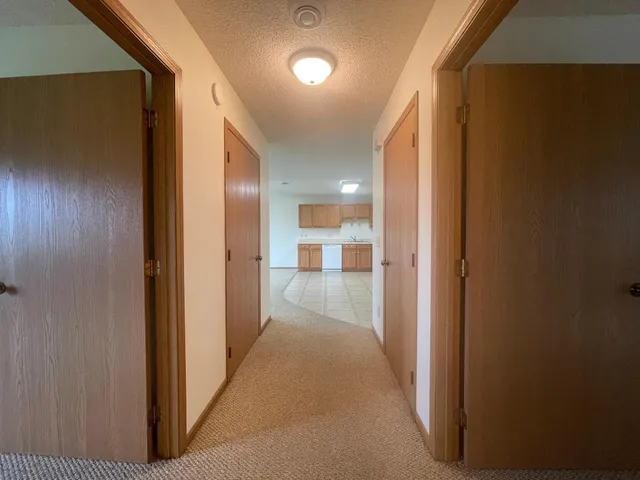 $200,000 | 316 A 2nd Street Northeast, Bertha, MN 56437