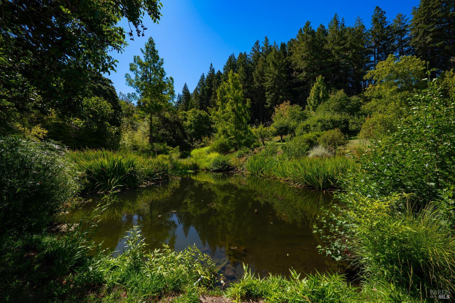 20205 Tumbling McD Road Philo, CA 95466 - Photo 59 of 78
