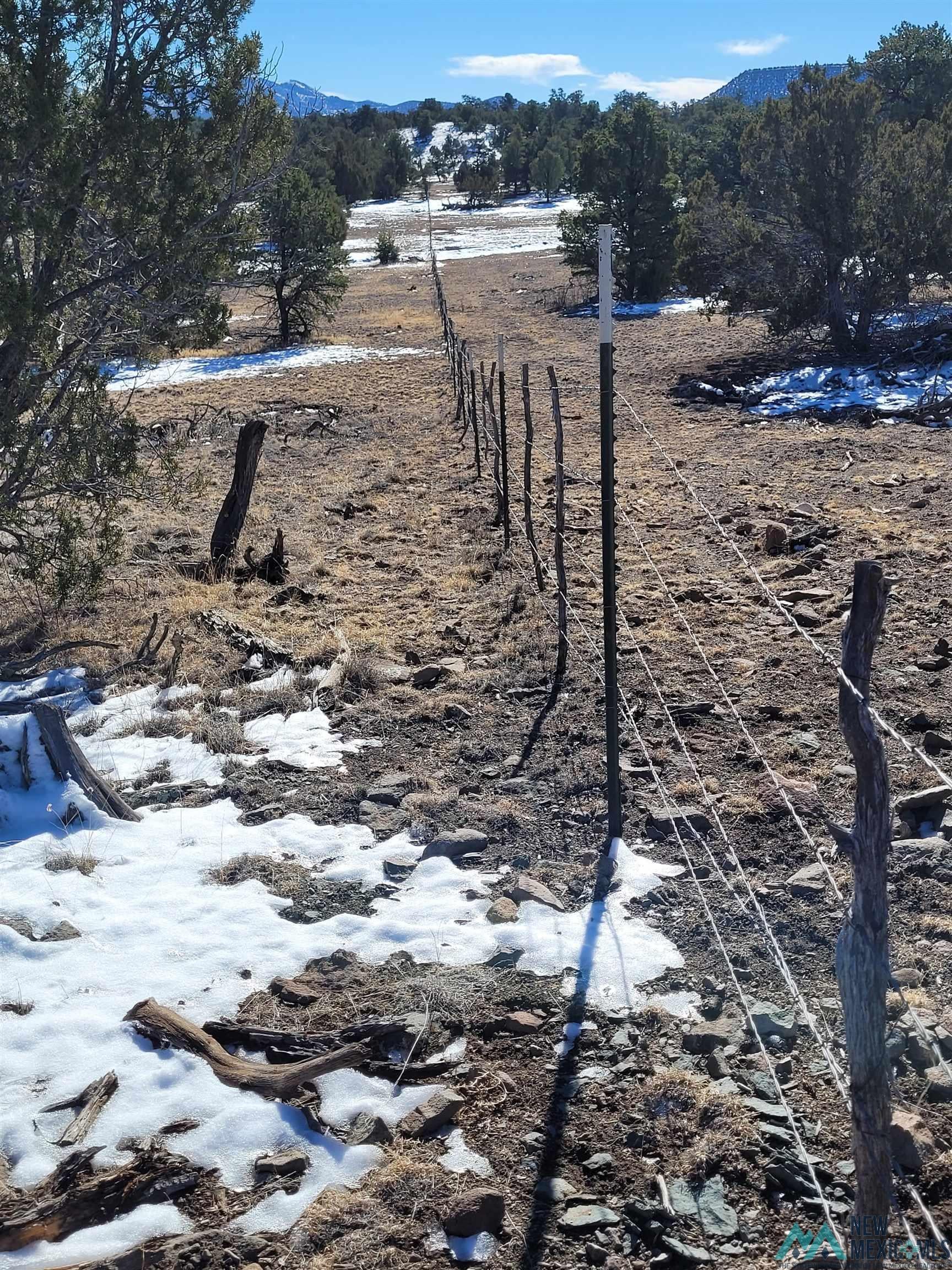 1 Jackass Lane, Unit 1 Datil, NM 87821 - Photo 27 of 46 Exterior view of mountains
