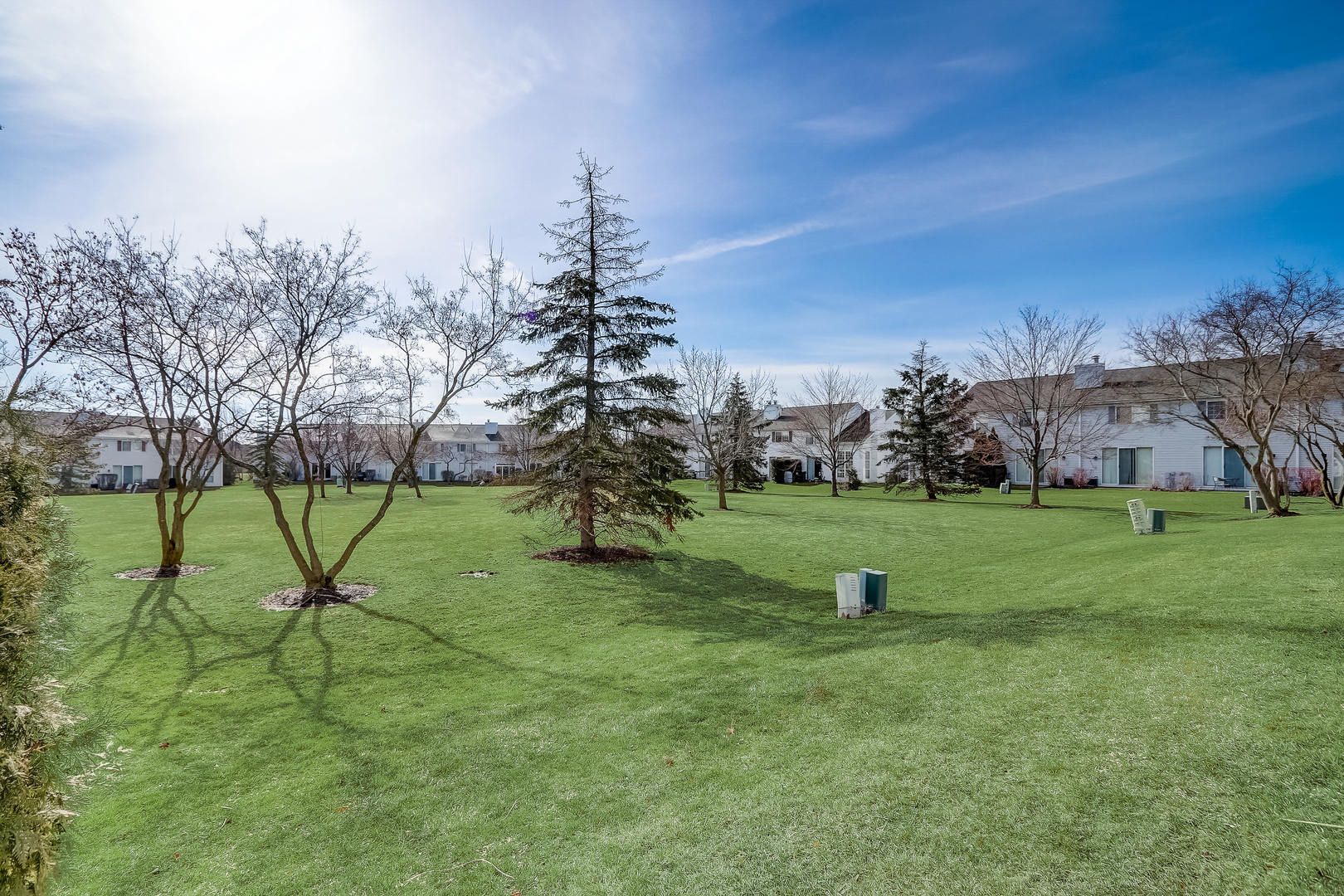 17885 Braewick Road, Unit 17217 Gurnee, IL 60031 - Photo 33 of 35 a view of a park with large trees