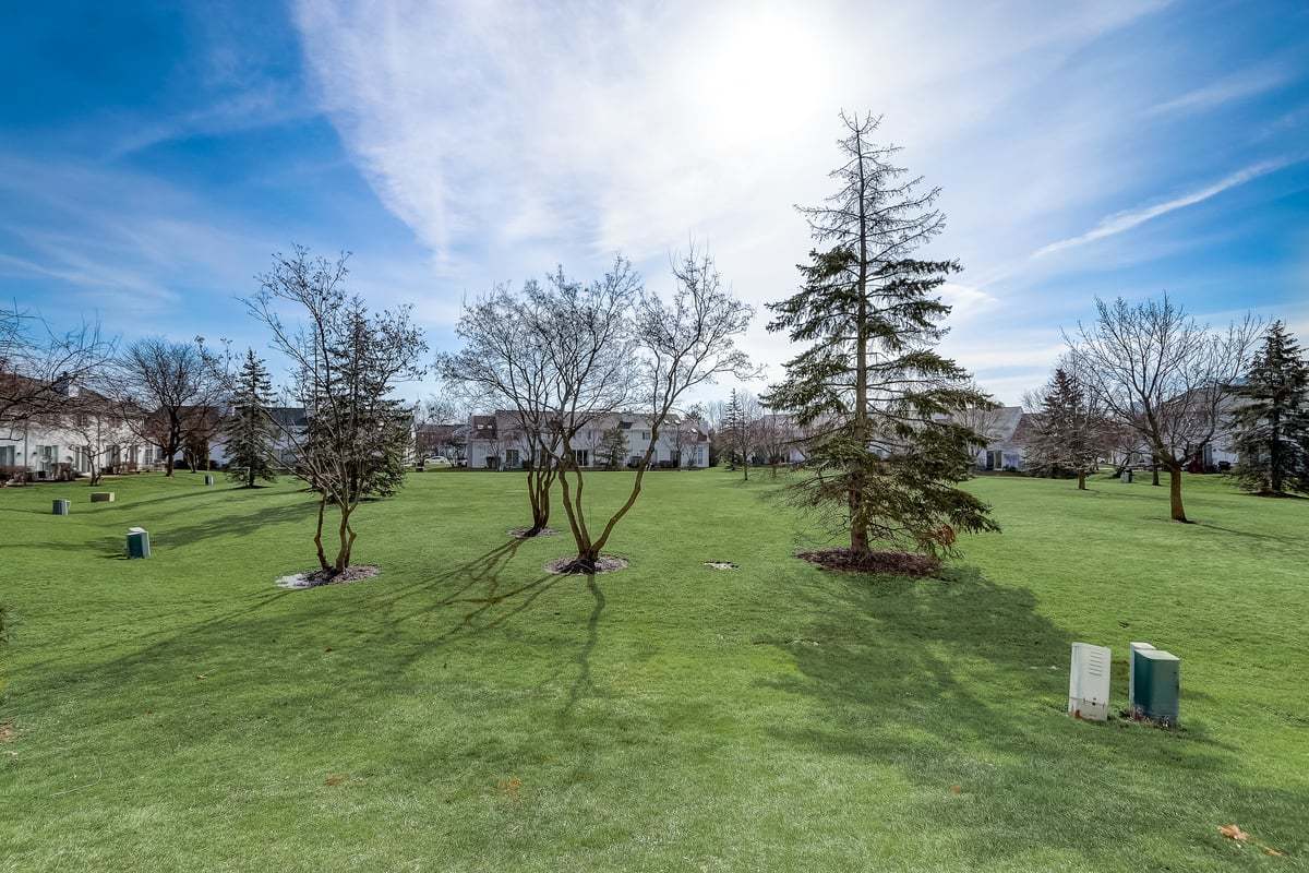 17885 Braewick Road, Unit 17217 Gurnee, IL 60031 - Photo 34 of 35 a park with lots of trees and plants