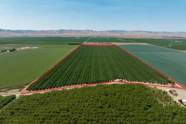 a view of a field with an ocean view
