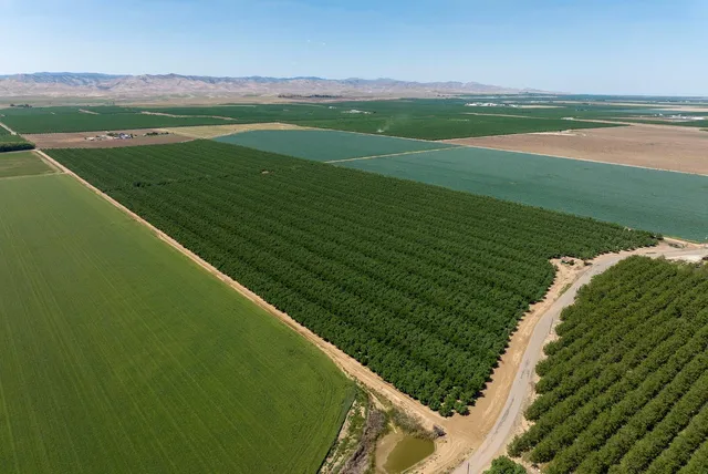 a view of a field with a view of a lake