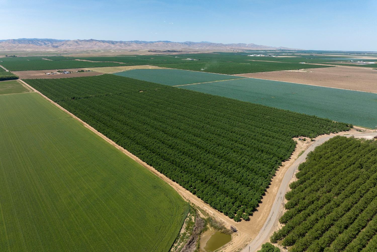 100 Draper Road Gustine, CA 95322 - Photo 13 of 24 a view of a green field with an ocean