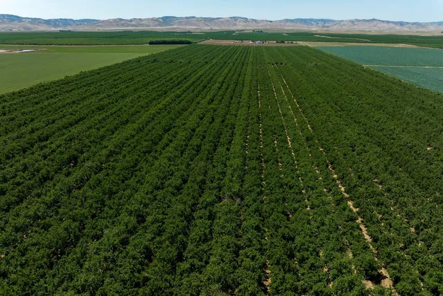 a view of swimming pool from a balcony