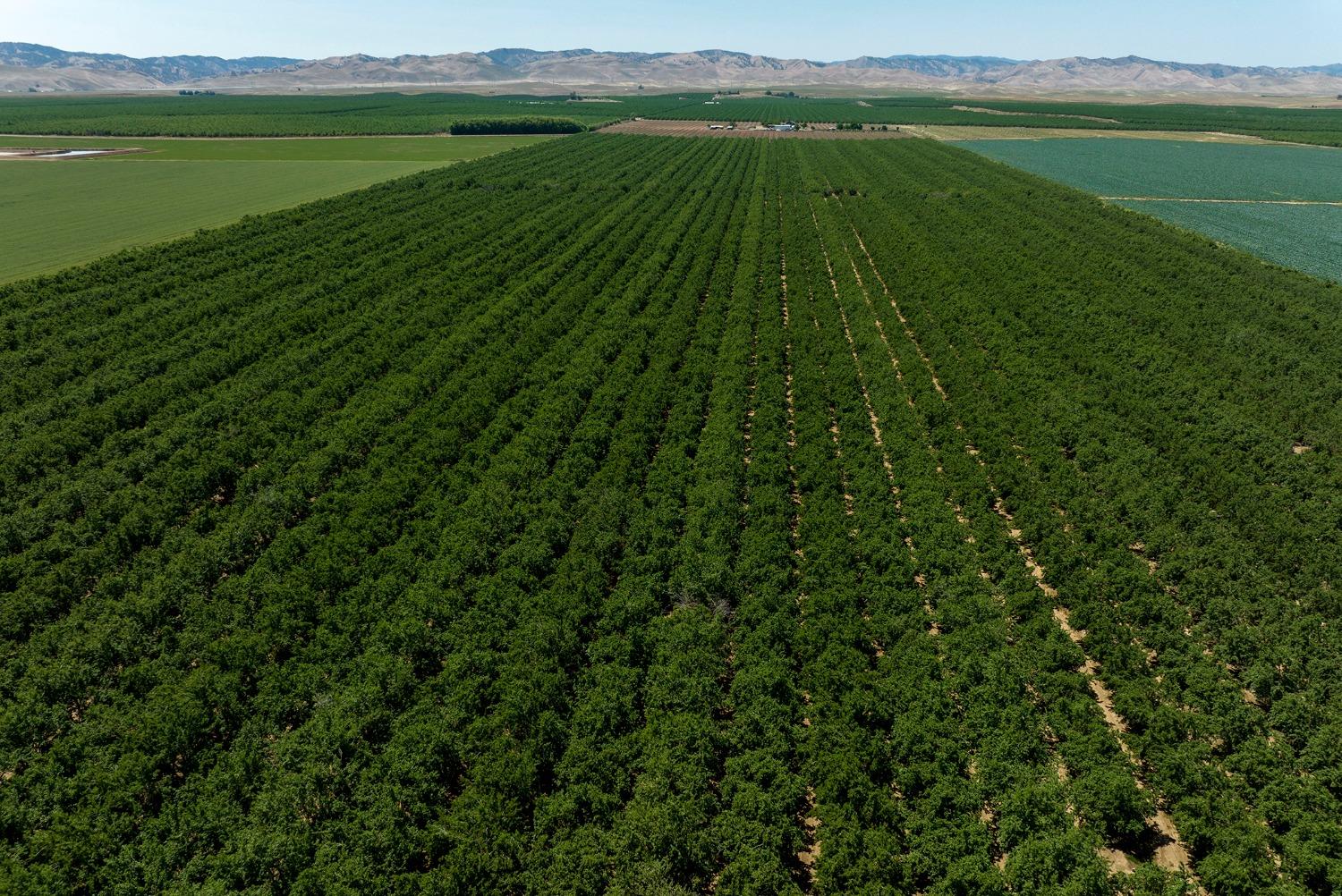 100 Draper Road Gustine, CA 95322 - Photo 15 of 24 a view of a field with a view of a lake