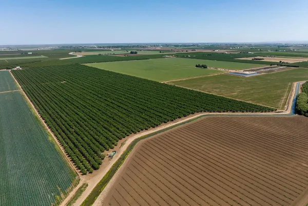 a view of a field with an ocean view