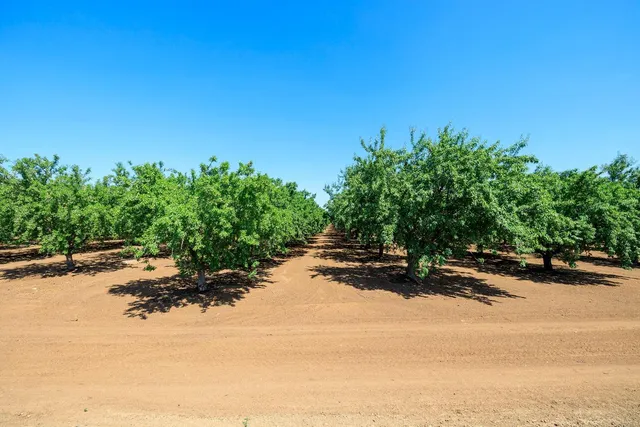 $4,100,000 | 100 Draper Road, Gustine, CA 95322