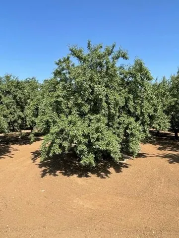 a view of a large body of water with a house in the background