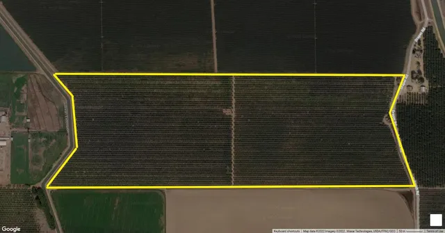 a view of a field with an ocean