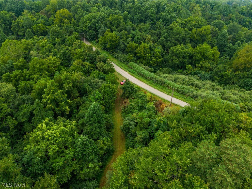 Harrons Ridge Road Dexter City, OH 45727 - Photo 48 of 50 Gallery Image 48