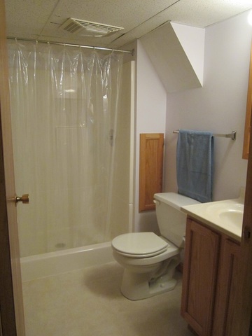 208 Linder Lane Rochelle, IL 61068 - Photo 20 of 25 a white toilet sitting next to a bathroom sink