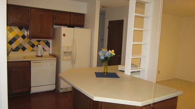 208 Linder Lane Rochelle, IL 61068 - Photo 8 of 25 a kitchen with stainless steel appliances a refrigerator and a stove