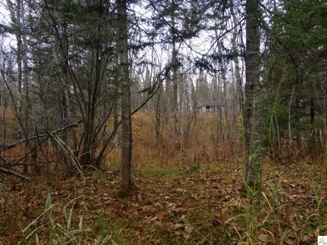 Two Mikkenen Road Two Harbors, MN 55616 - Photo 10 of 12