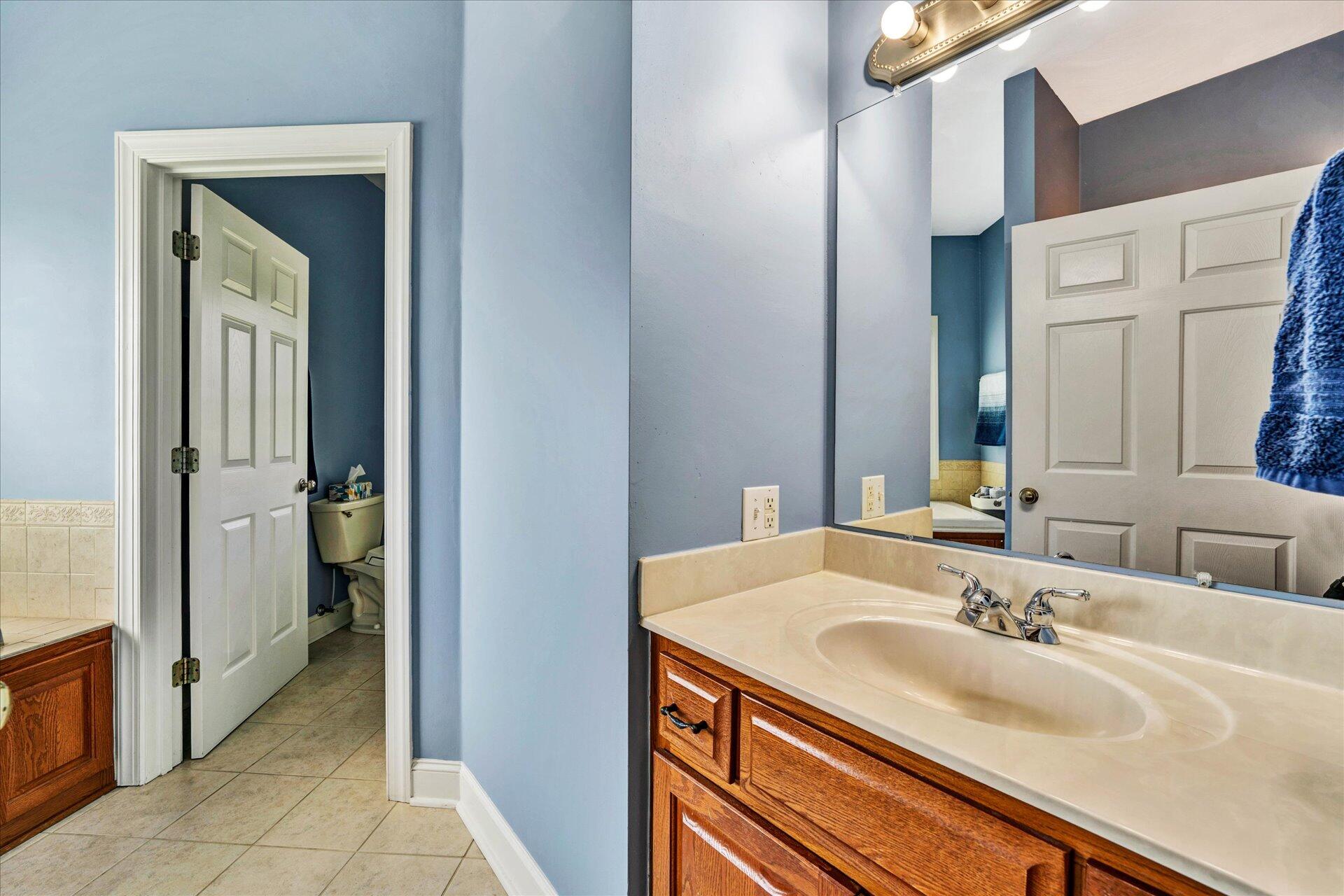 325 Rock Ridge Road Callaway, VA 24067 - Photo 33 of 74 a bathroom with a sink and a mirror