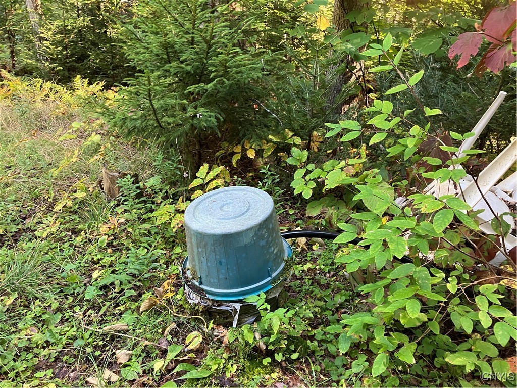 82 Stock Lane Inlet, NY 13360 - Photo 12 of 34 Dug well