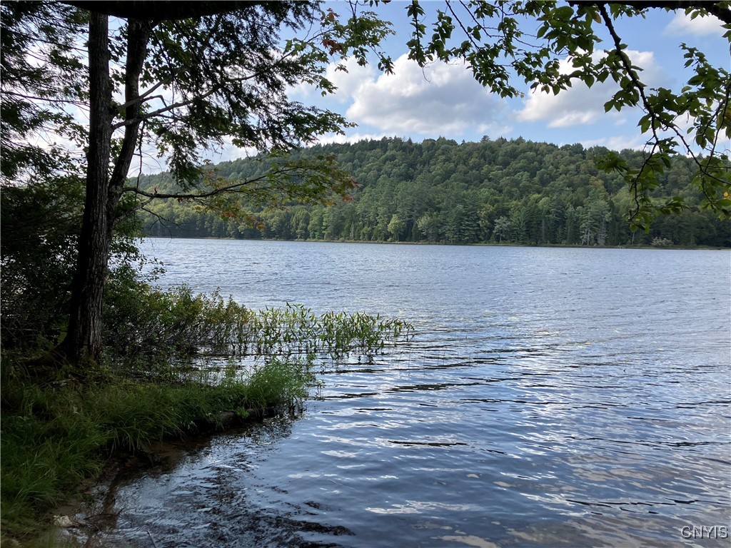 82 Stock Lane Inlet, NY 13360 - Photo 31 of 34 Upper Pond view