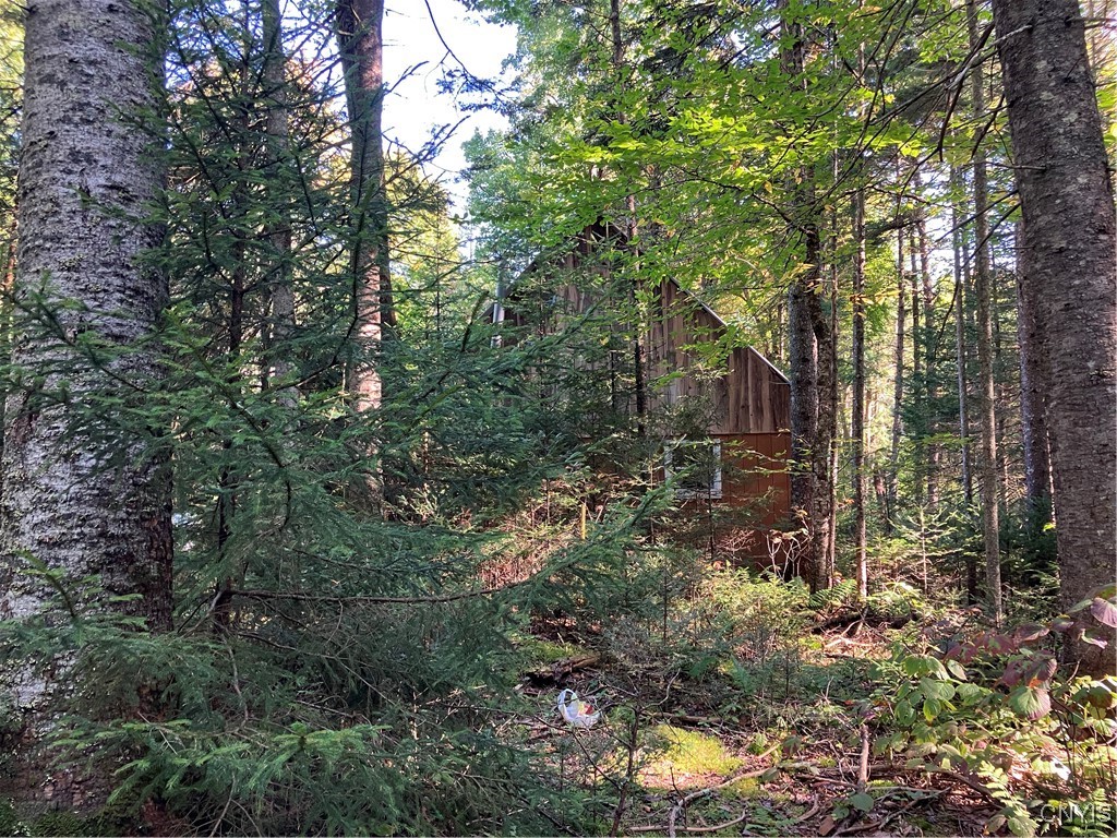 82 Stock Lane Inlet, NY 13360 - Photo 5 of 34 Back Side